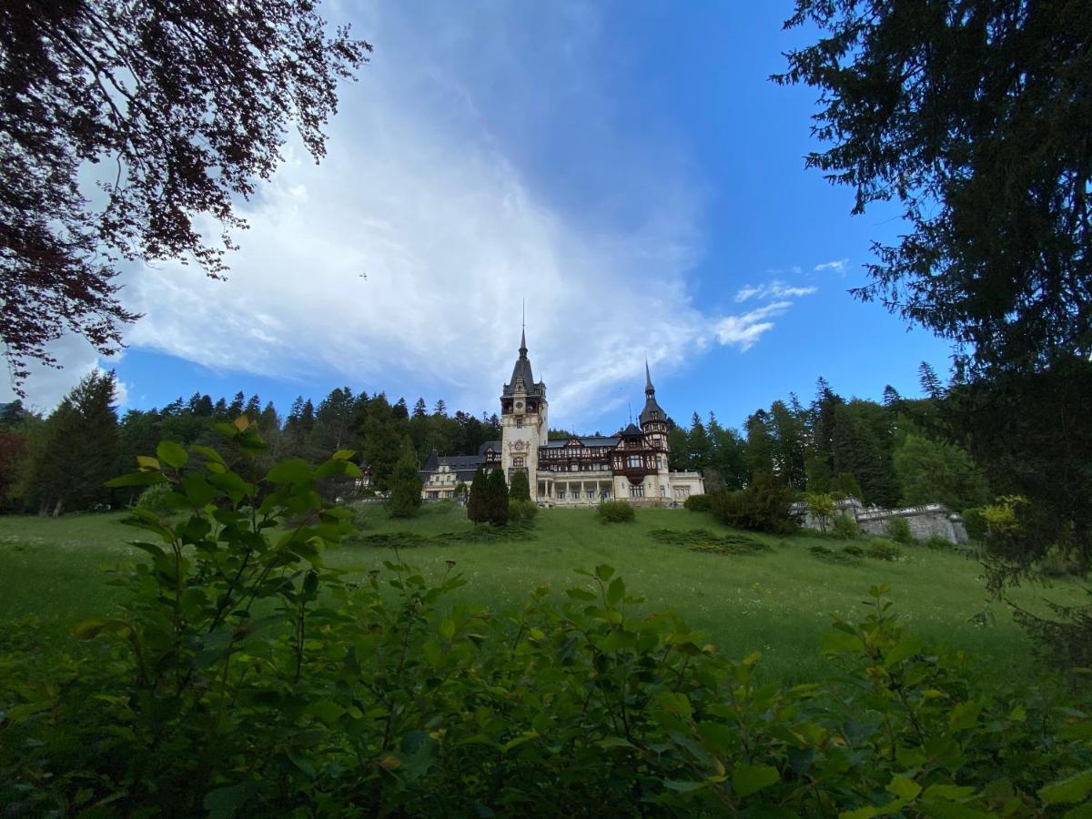 Vila De Argint Aleea Pelesului Nr 2 Sinaia Zewnętrze zdjęcie