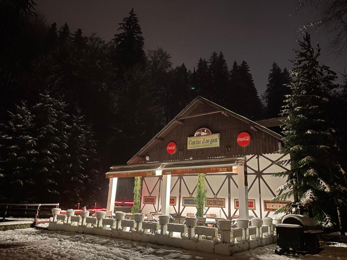 Vila De Argint Aleea Pelesului Nr 2 Sinaia Zewnętrze zdjęcie