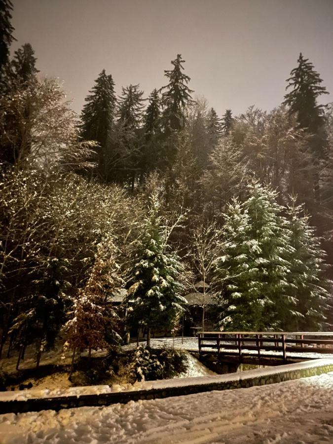 Vila De Argint Aleea Pelesului Nr 2 Sinaia Zewnętrze zdjęcie