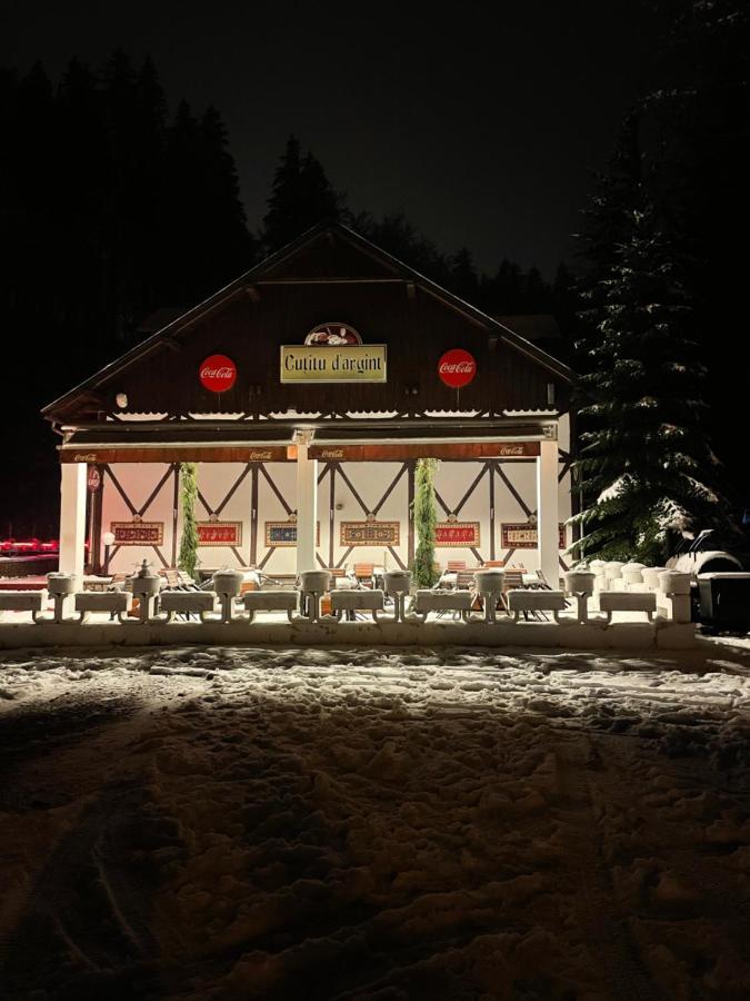 Vila De Argint Aleea Pelesului Nr 2 Sinaia Zewnętrze zdjęcie