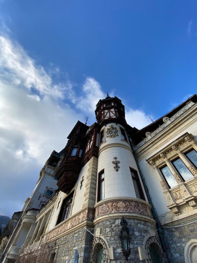 Vila De Argint Aleea Pelesului Nr 2 Sinaia Zewnętrze zdjęcie
