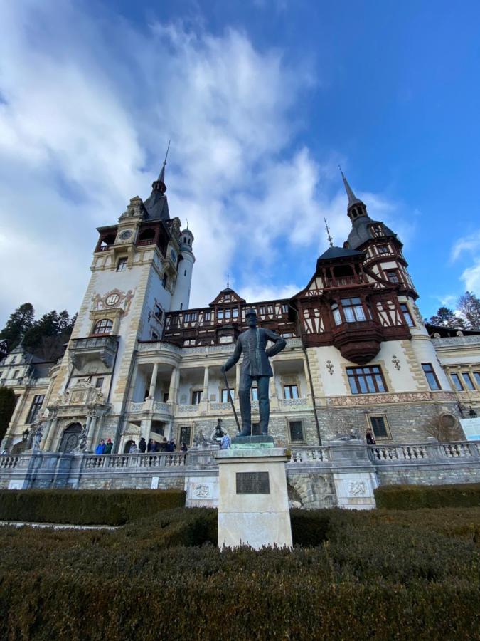Vila De Argint Aleea Pelesului Nr 2 Sinaia Zewnętrze zdjęcie
