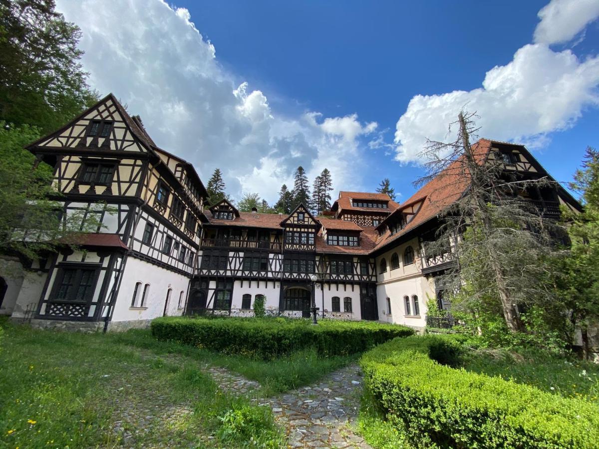 Vila De Argint Aleea Pelesului Nr 2 Sinaia Zewnętrze zdjęcie