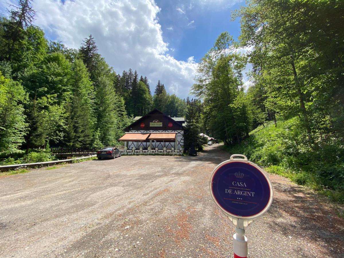 Vila De Argint Aleea Pelesului Nr 2 Sinaia Zewnętrze zdjęcie