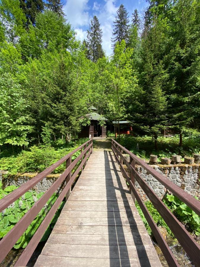 Vila De Argint Aleea Pelesului Nr 2 Sinaia Zewnętrze zdjęcie