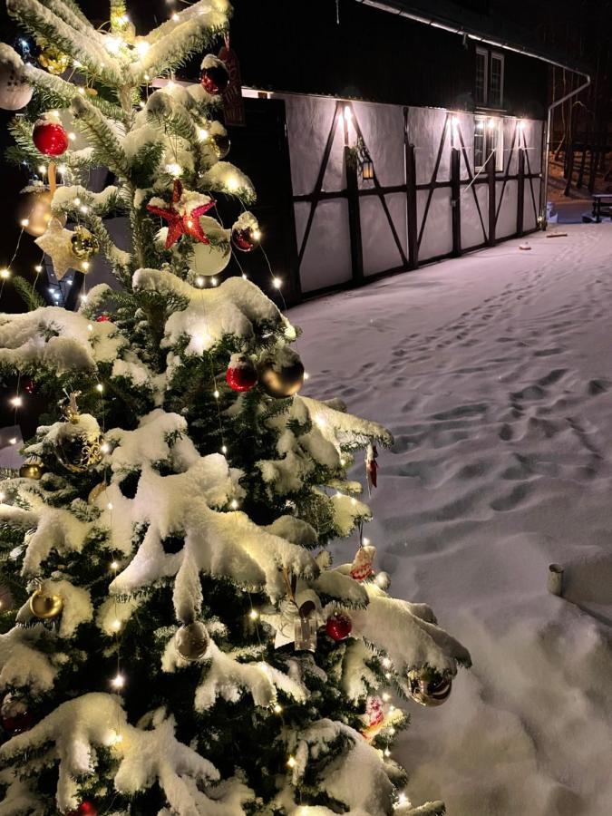 Vila De Argint Aleea Pelesului Nr 2 Sinaia Zewnętrze zdjęcie