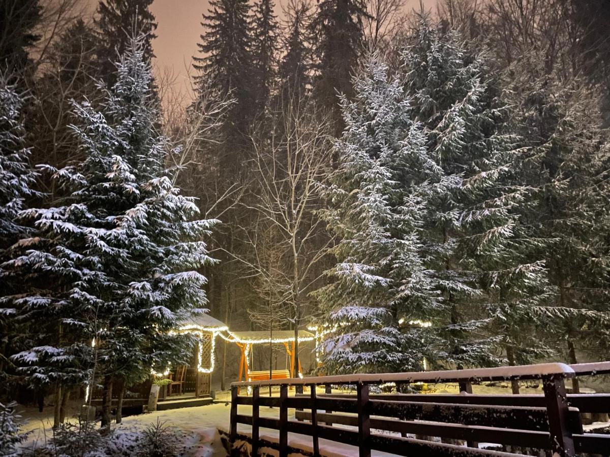 Vila De Argint Aleea Pelesului Nr 2 Sinaia Zewnętrze zdjęcie