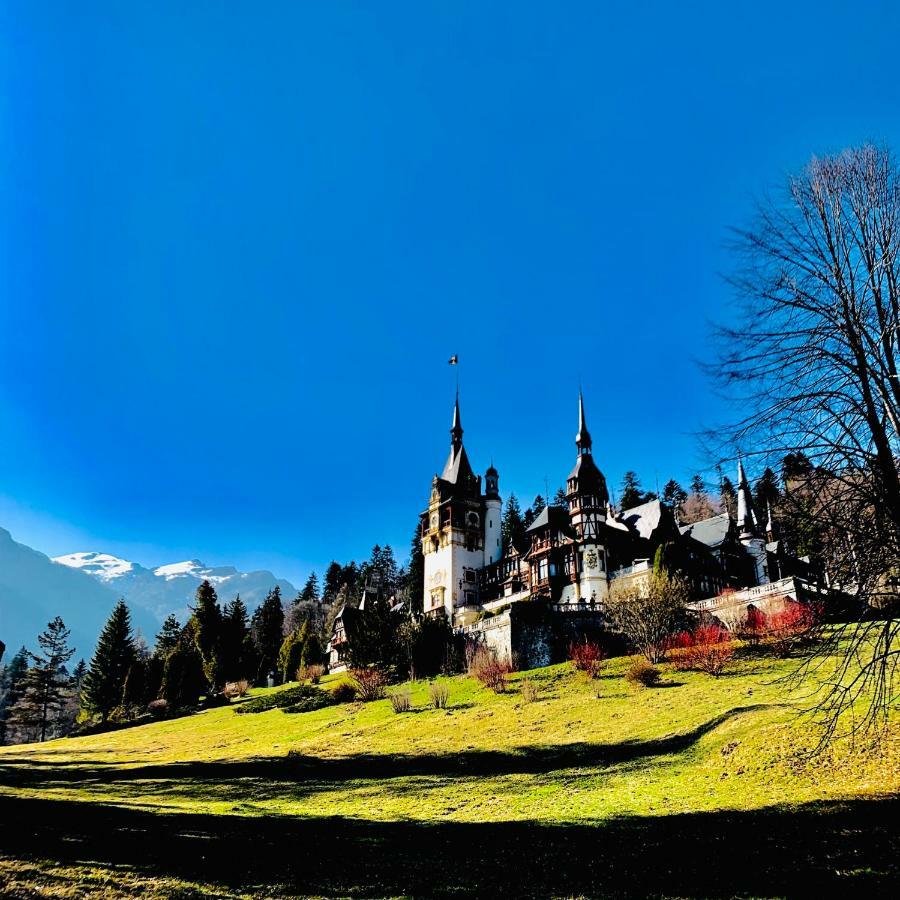 Vila De Argint Aleea Pelesului Nr 2 Sinaia Zewnętrze zdjęcie