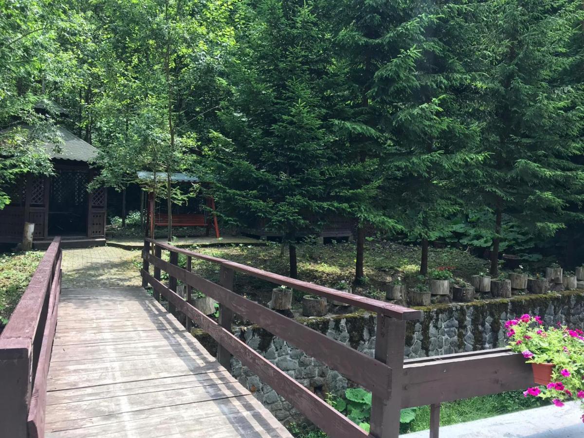 Vila De Argint Aleea Pelesului Nr 2 Sinaia Zewnętrze zdjęcie